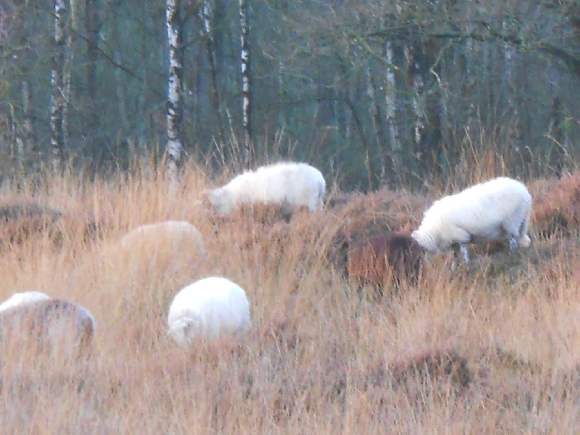 Slaopen En Stoet Anderen Exterior foto
