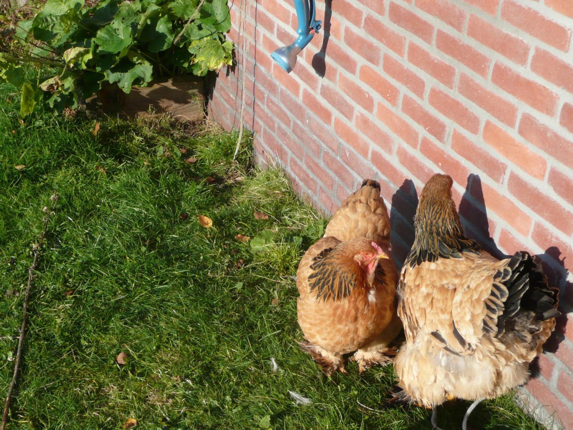 Slaopen En Stoet Anderen Exterior foto