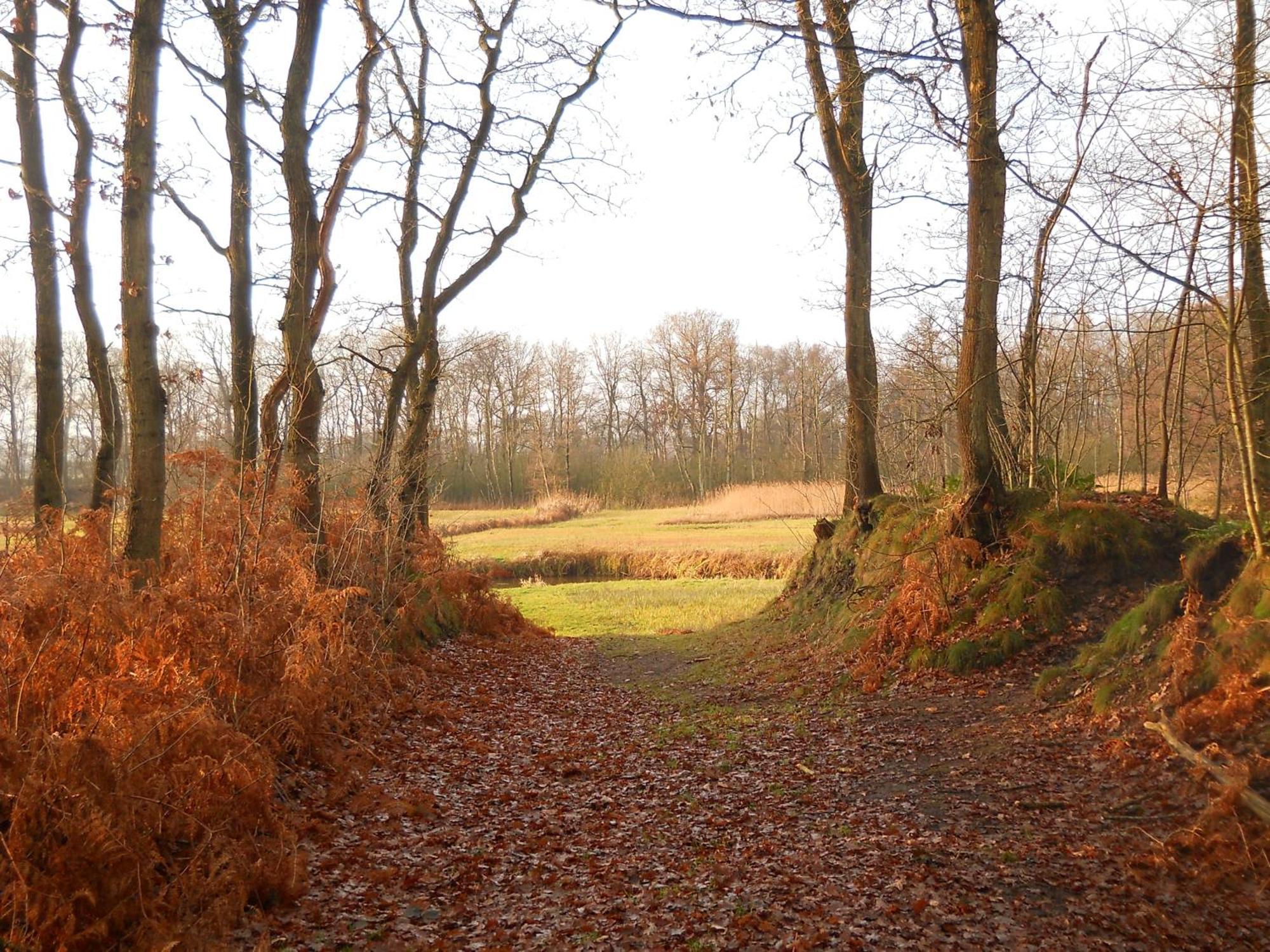Slaopen En Stoet Anderen Exterior foto