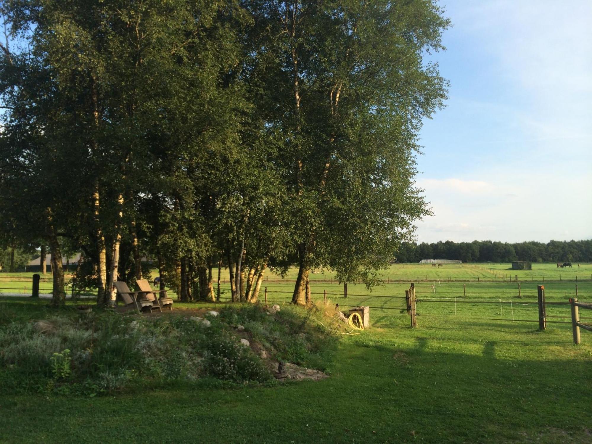 Slaopen En Stoet Anderen Quarto foto